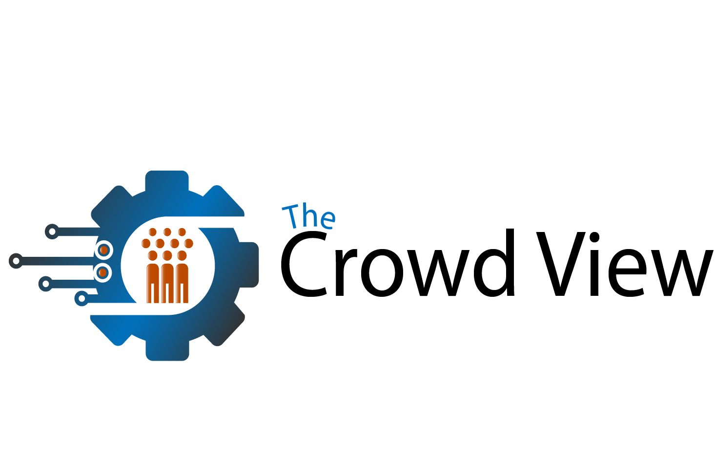 TheCrowdView